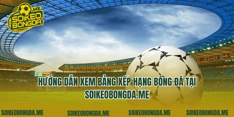 Hướng dẫn xem bảng xếp hạng bóng đá tại yvon.com.tw