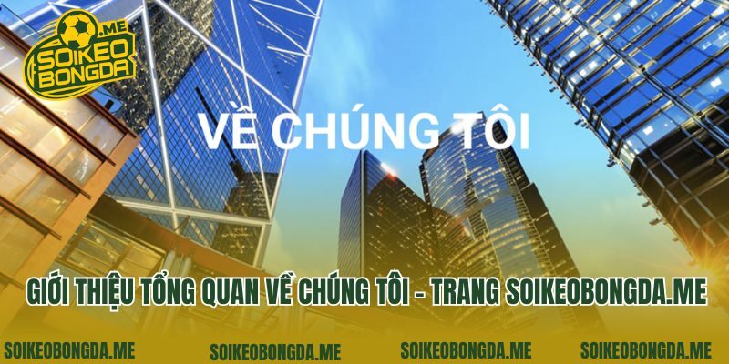 Giới thiệu tổng quan về chúng tôi - trang yvon.com.tw
