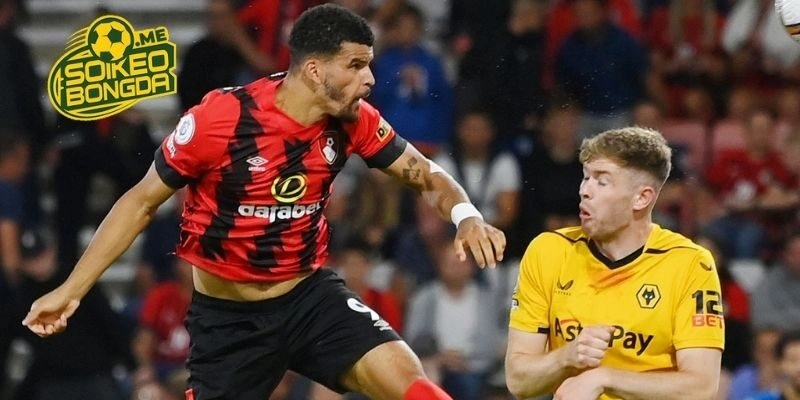 Phân tích, soi kèo Wolves vs Bournemouth trong giải ngoại hạng anh 2025/2026