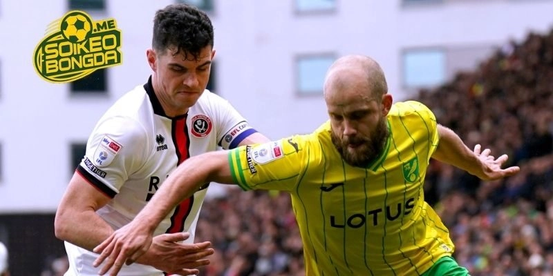 Đánh giá phong độ của Norwich City vs Sheffield United
