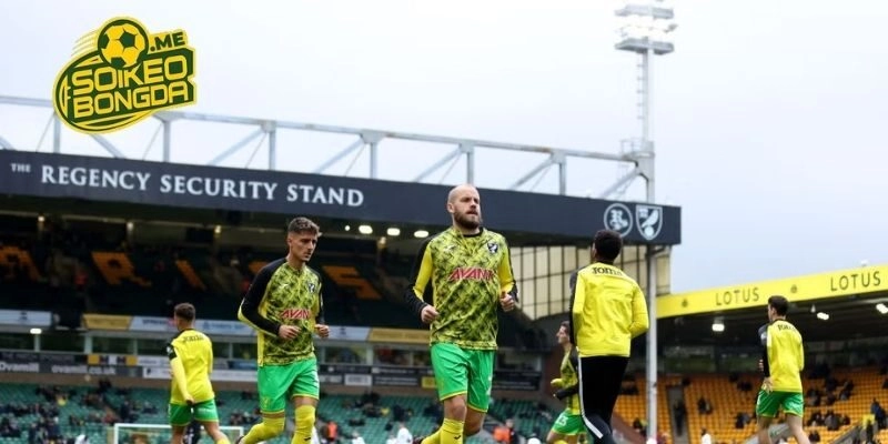 Phân tích, soi kèo Norwich City vs Sheffield United trong giải Hạng Nhất Anh 2026